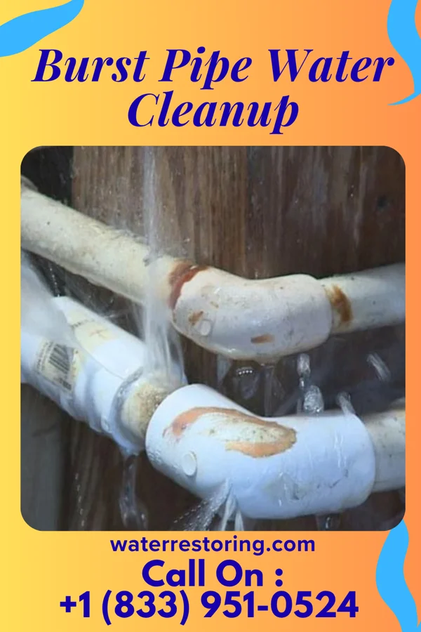 Burst Pipe Water Cleanup in Ripley, TN