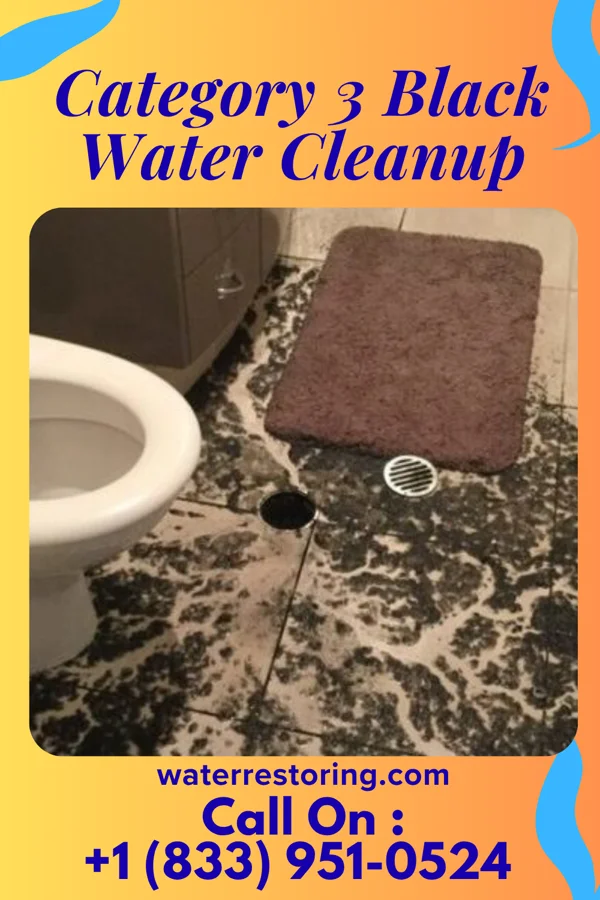 Category 3 Black Water Cleanup in Ripley, TN
