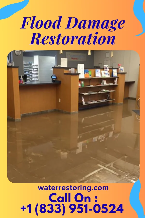 Flood Damage Restoration in Ripley, TN