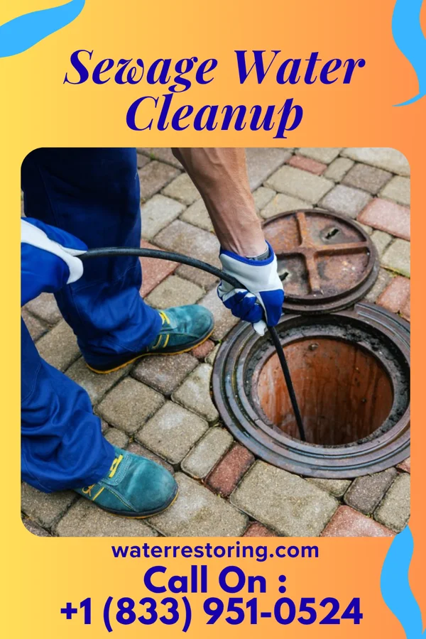 Sewage Water Cleanup in Ripley, TN
